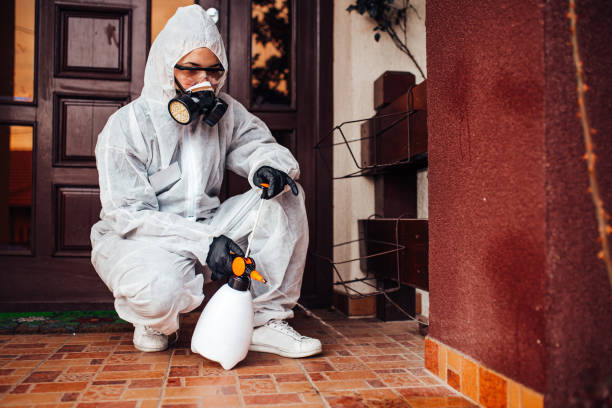 Reliable Cockroach Control contractor in Orwell, OH by Nex Pest Control